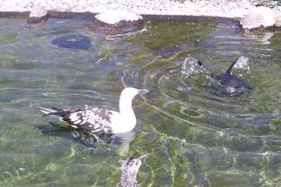 photo-1