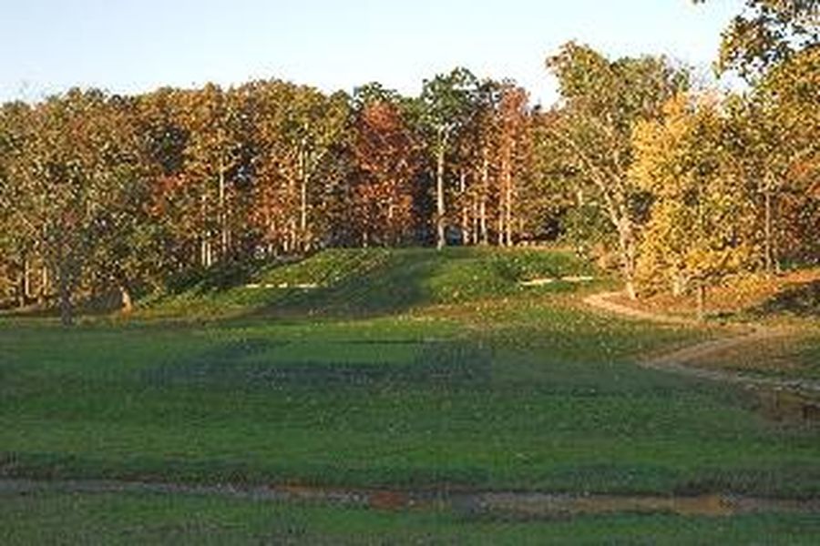 photo-1