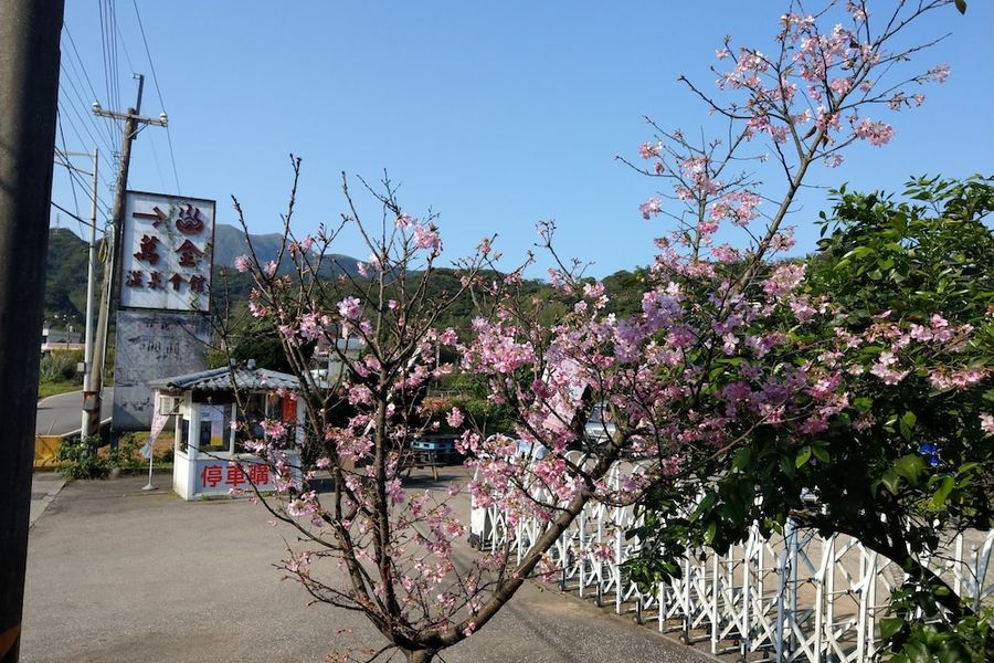 foto-3