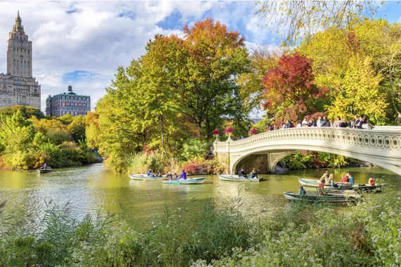 Central Park