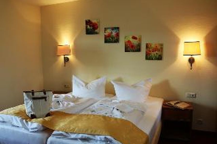 photo-1