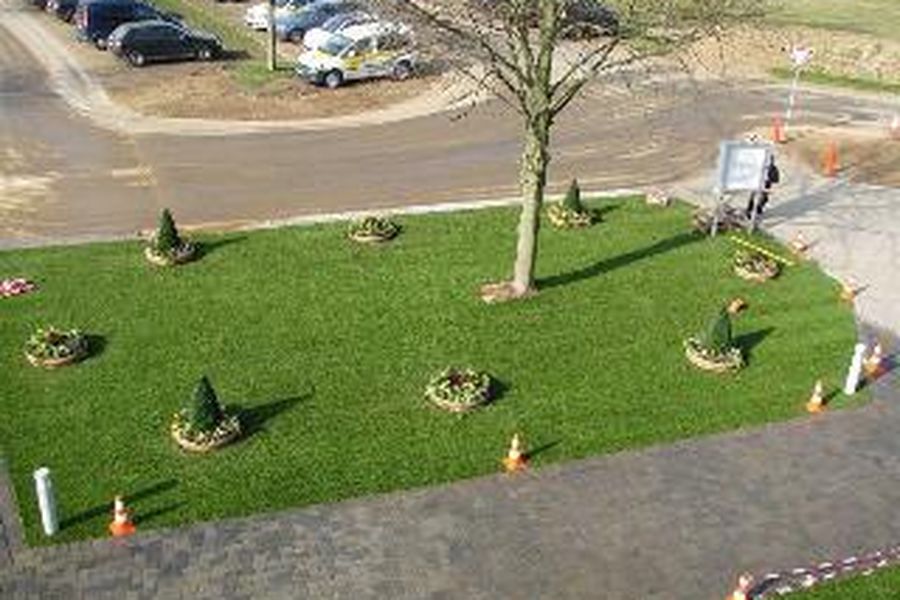 photo-1