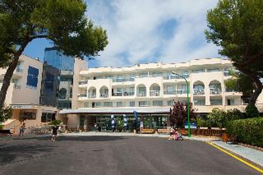 photo-1