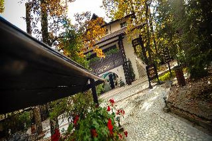 foto-0