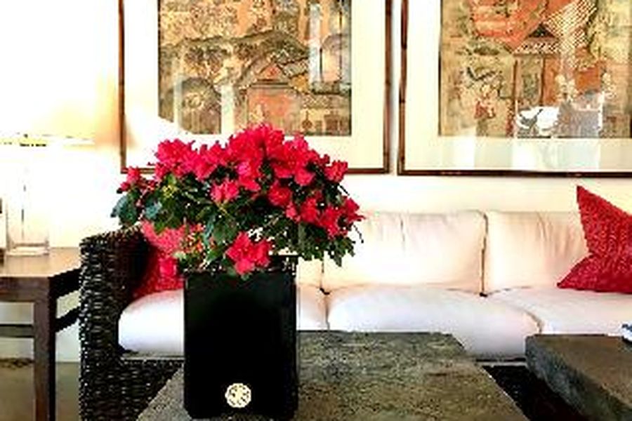 foto-3