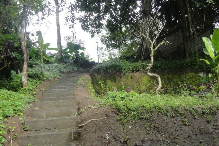 photo-0