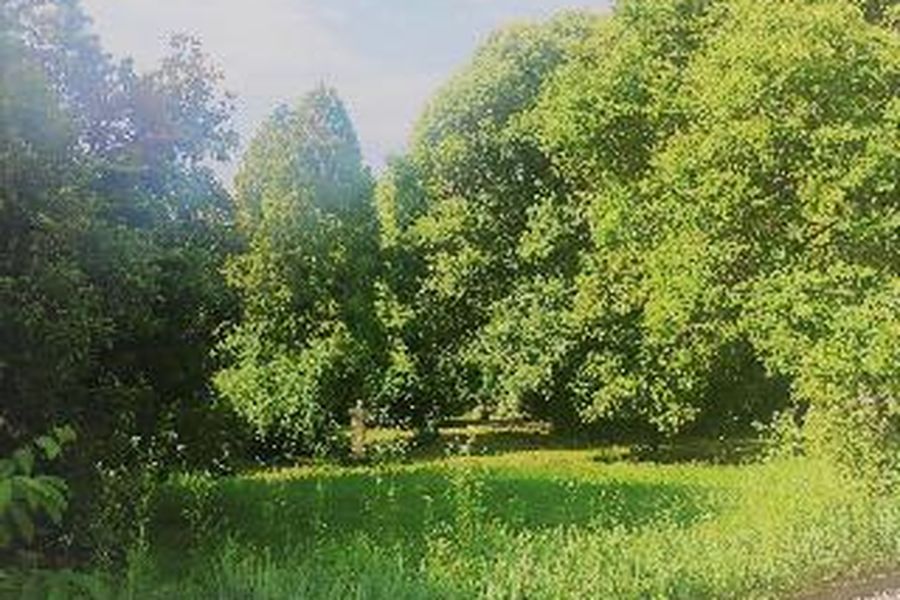 photo-3