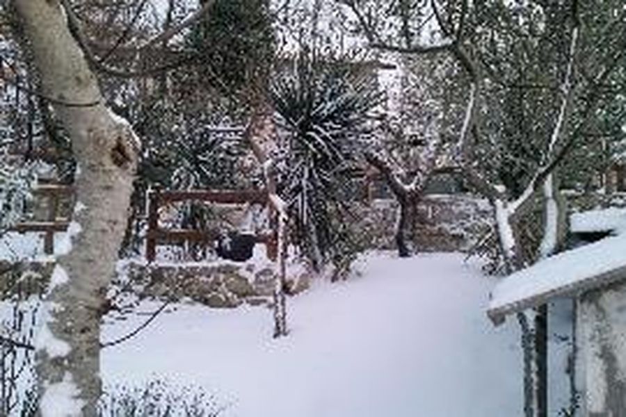 foto-1