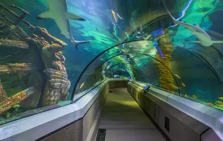 SEA LIFE Sunshine Coast: Entry Ticket