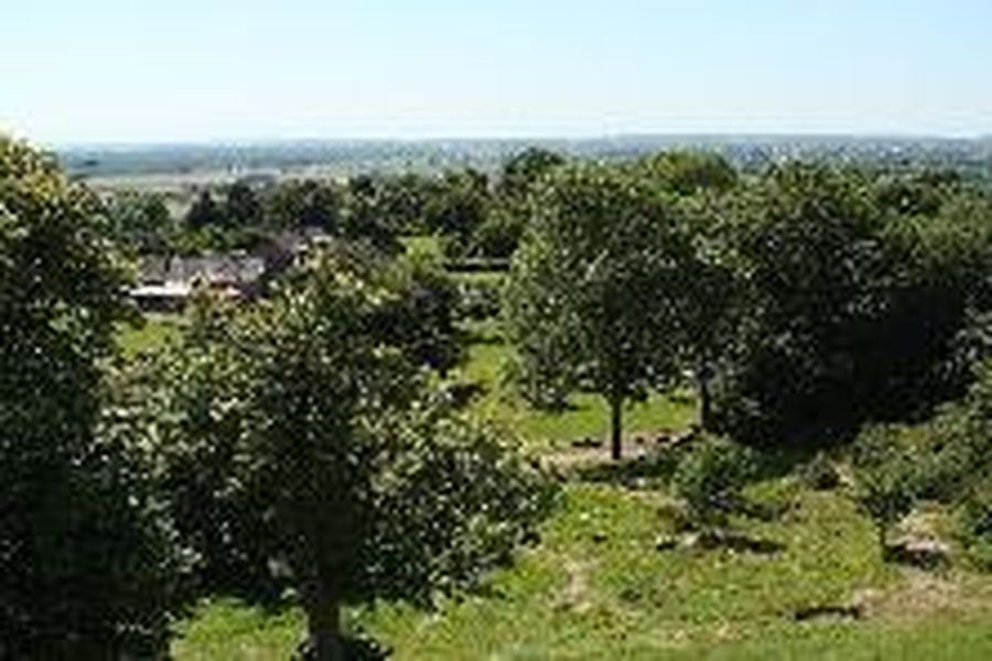 photo-2
