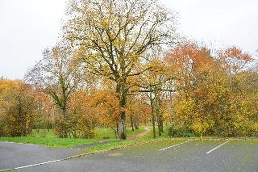 foto-0