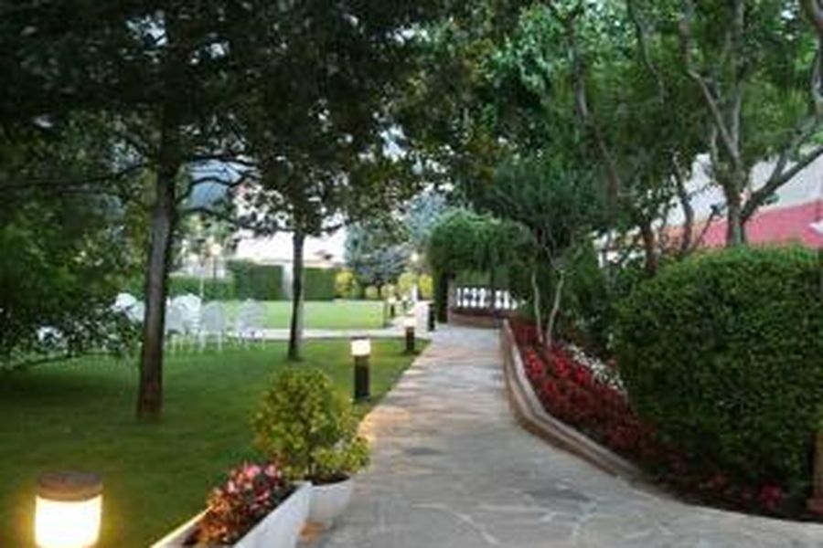 photo-1