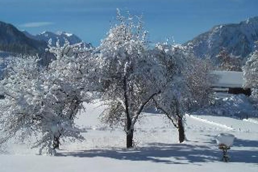 photo-1