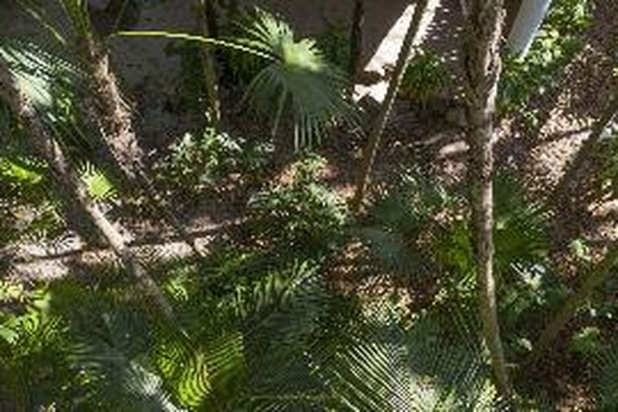 photo-3