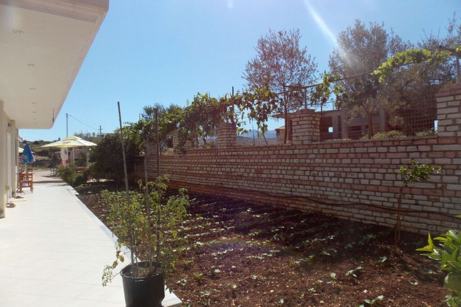 photo-0