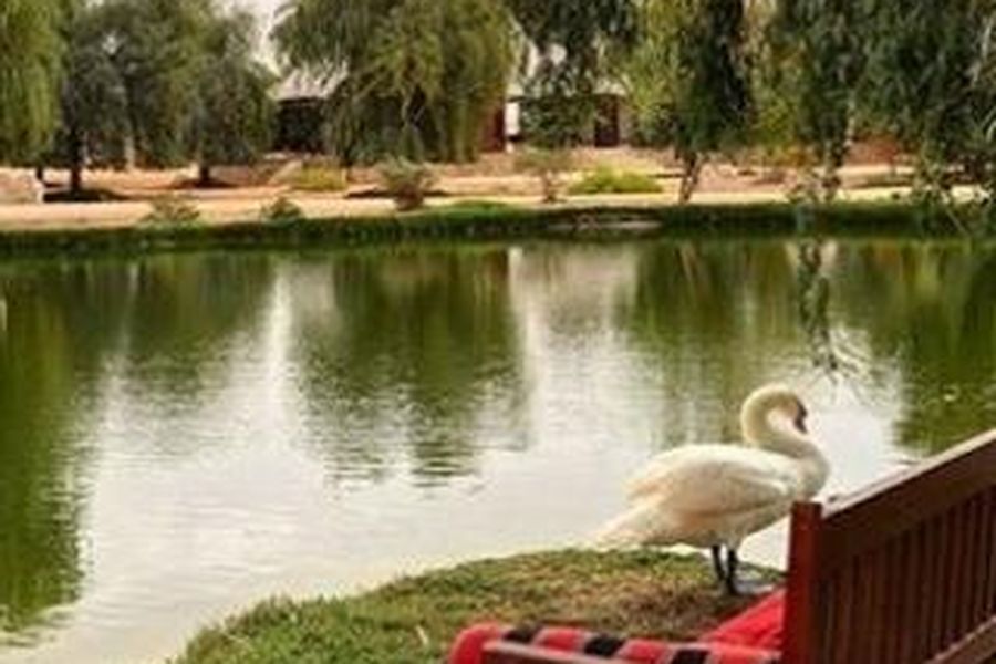foto-3