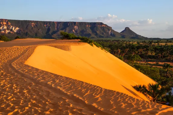 Dunas