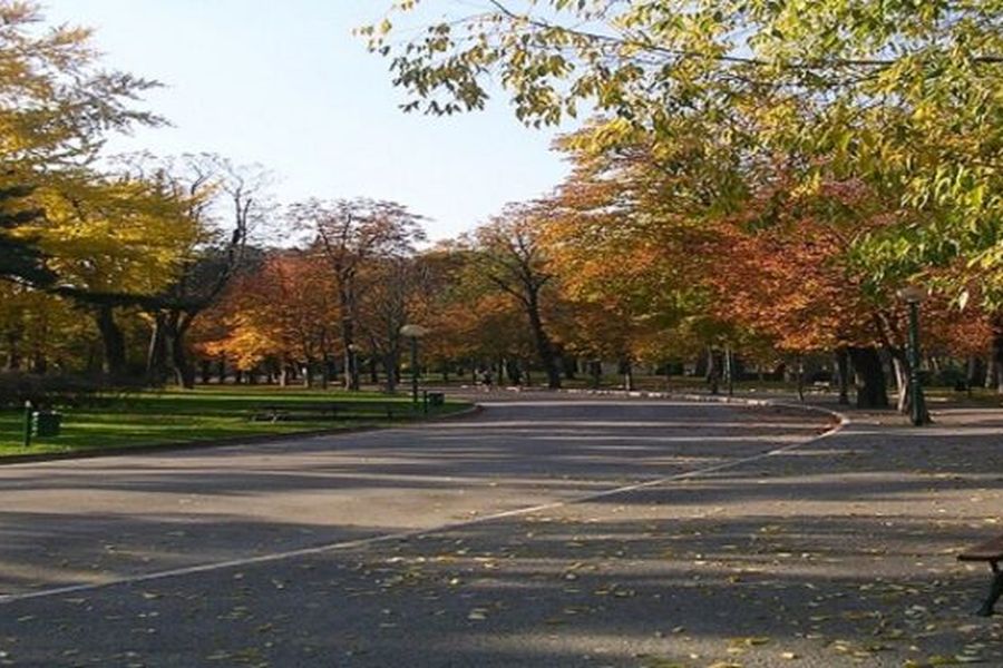 photo-2