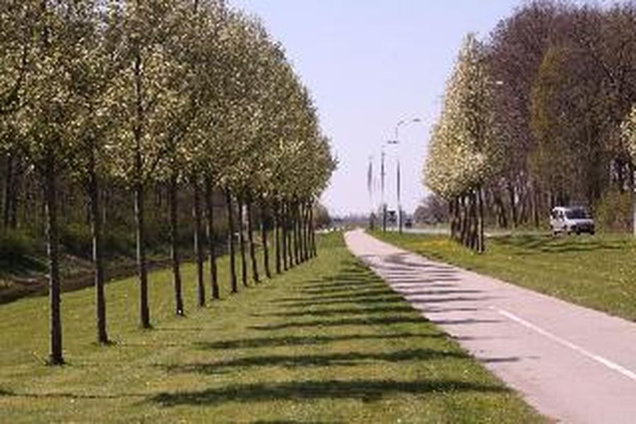 foto-2