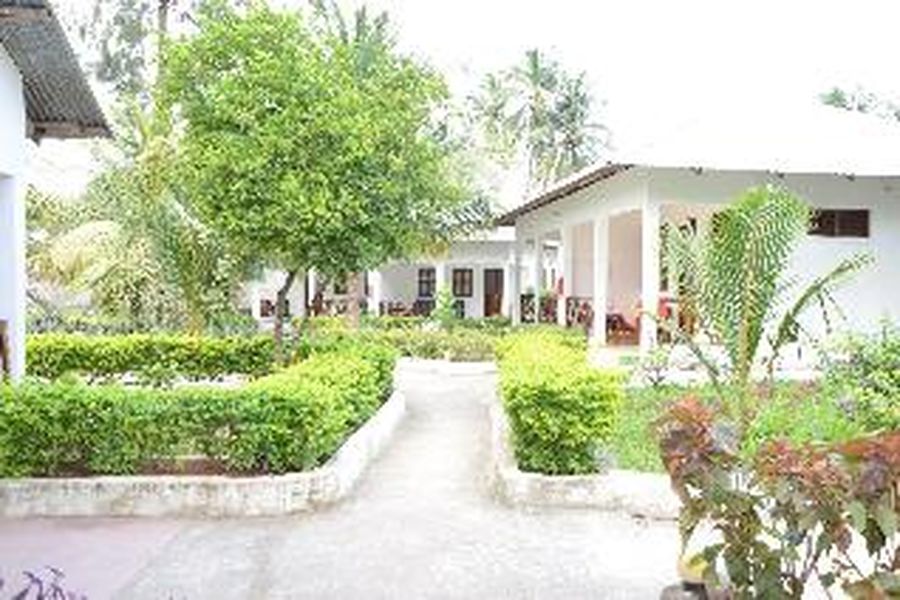 photo-1