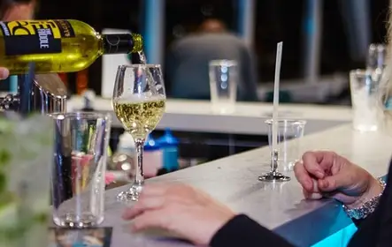 Crucero turístico con cena por la Costa Dorada