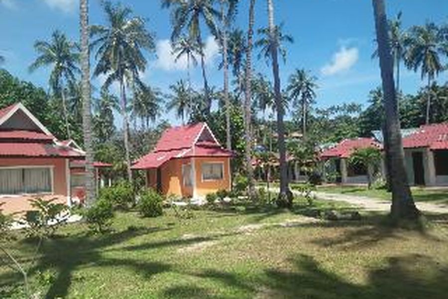 foto-3