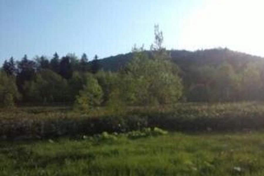 foto-3