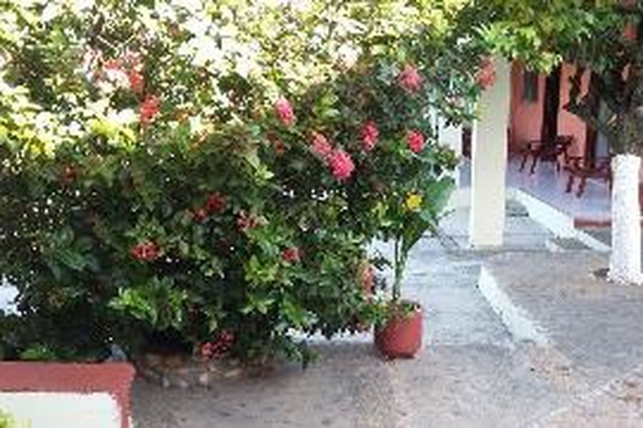 foto-3