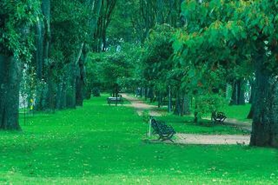 foto-3