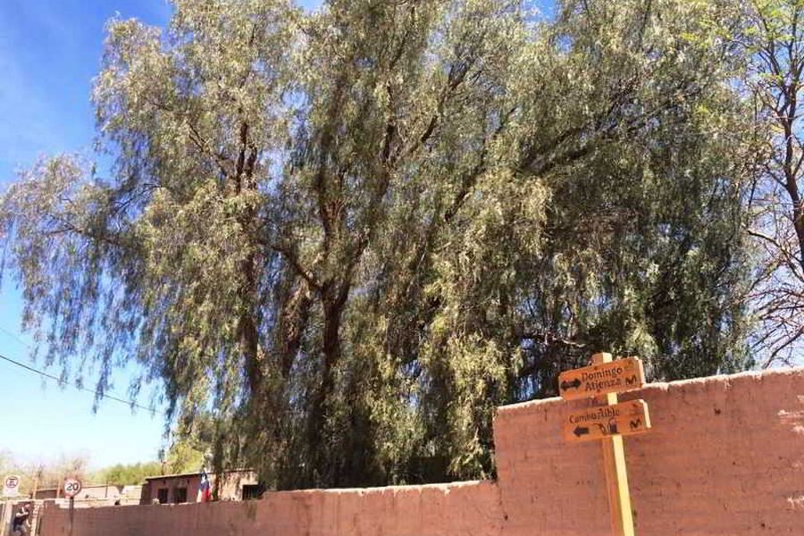 foto-2