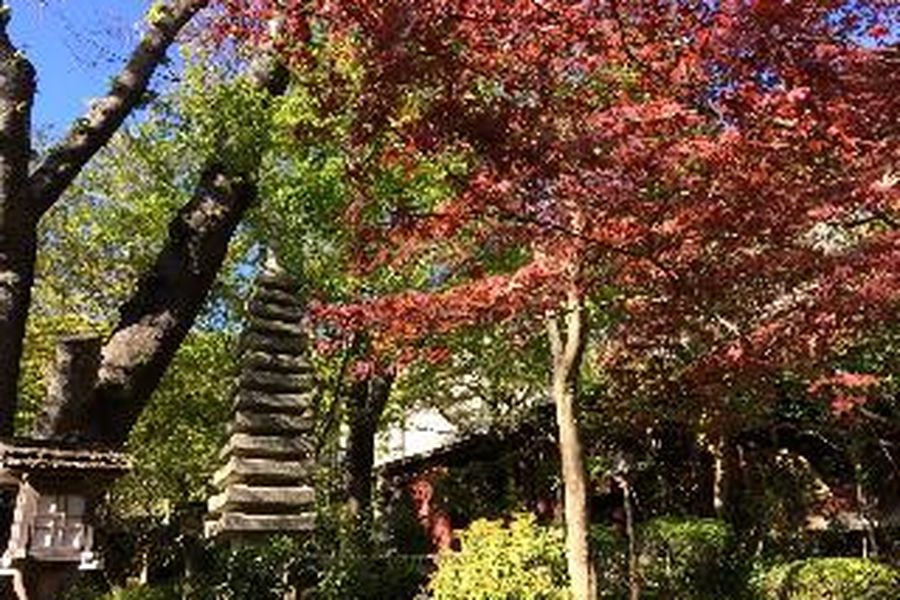 photo-2