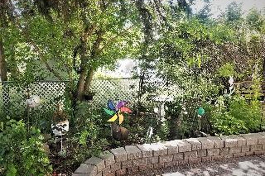 foto-2
