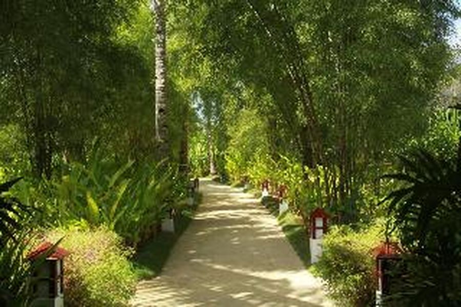 photo-2