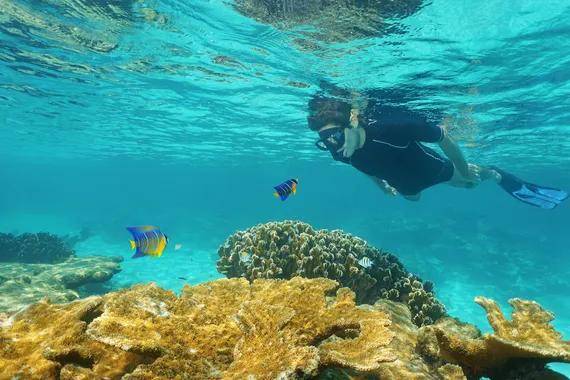 Homem mergulhando junto aos peixes em águas cristalinas, em Cancún
