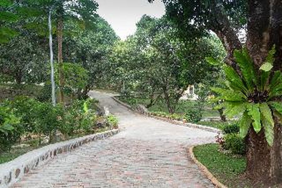 foto-3