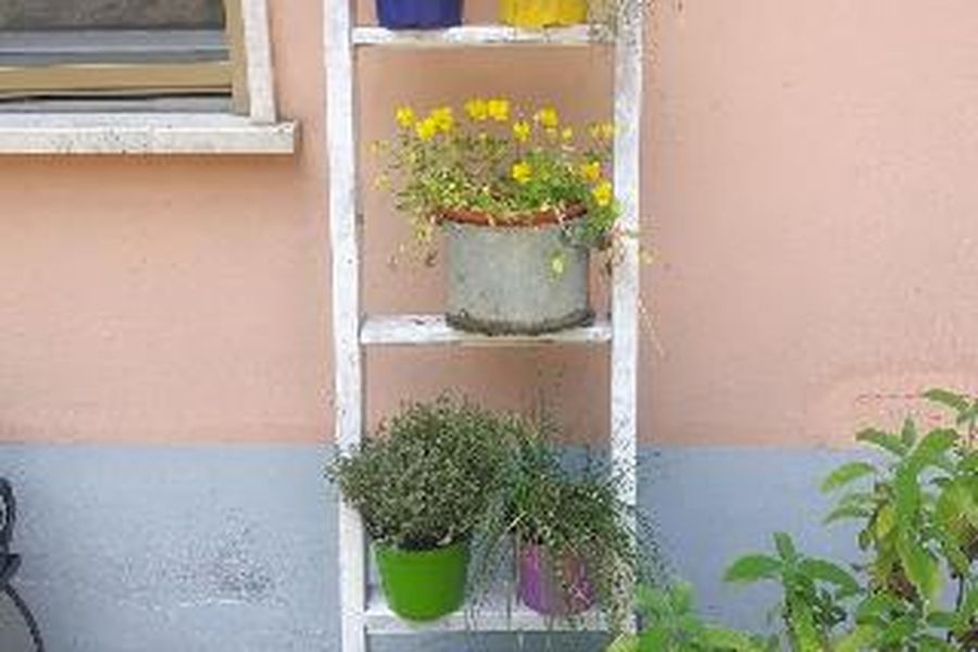 photo-2