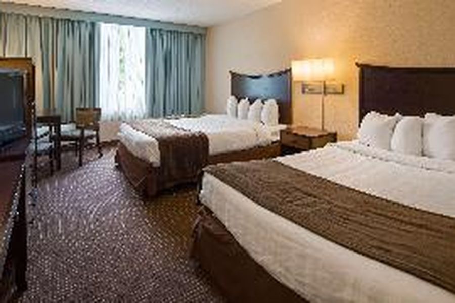 photo-1