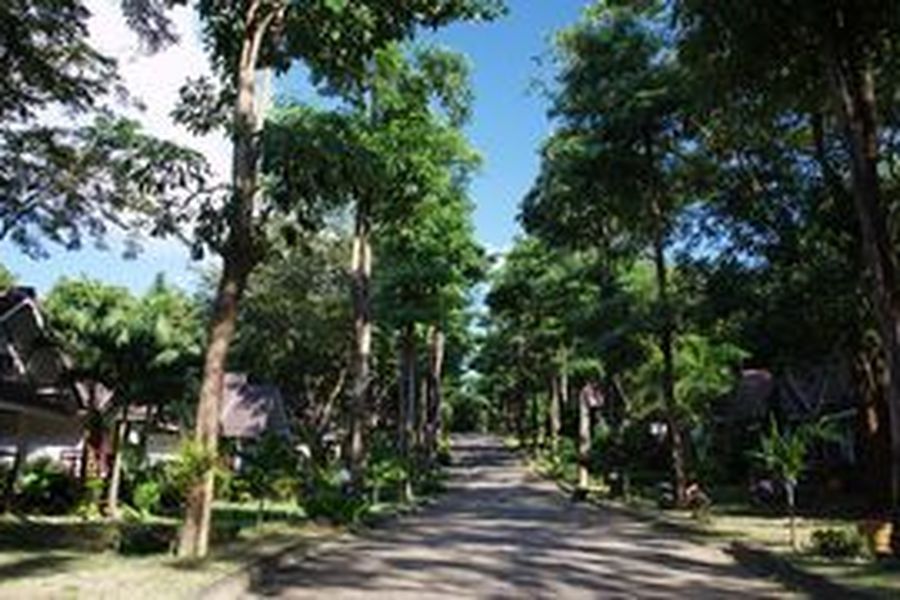 foto-0