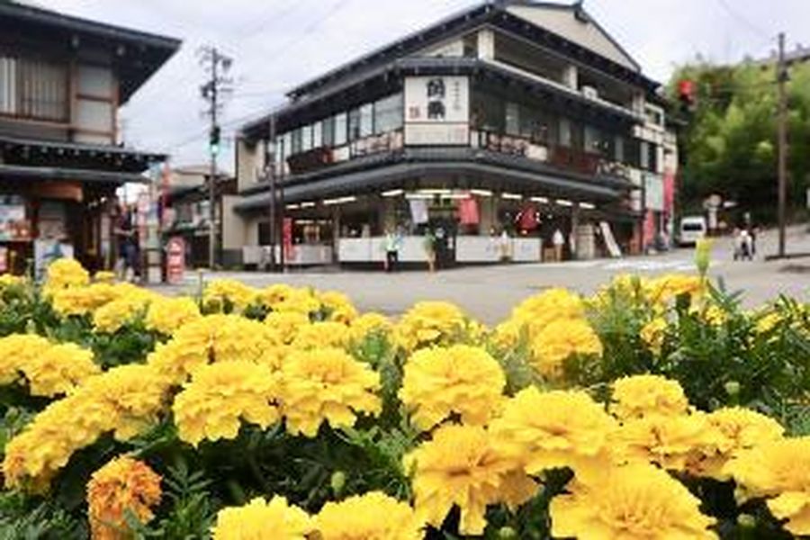 photo-1