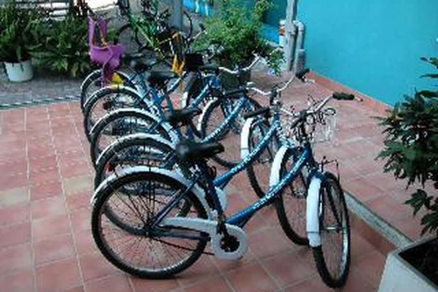 photo-3