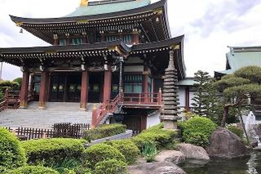photo-1