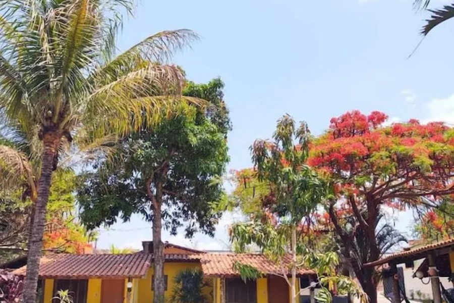 foto-1