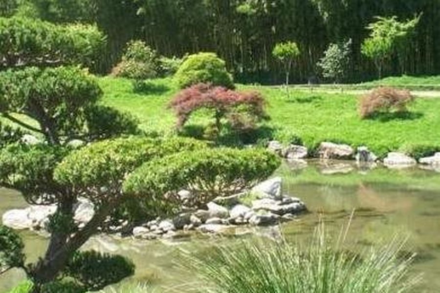 photo-2