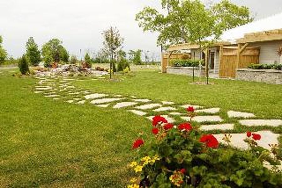 foto-3