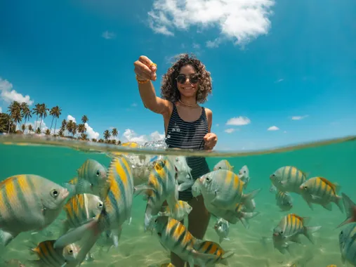 Alimentando os diversos peixes