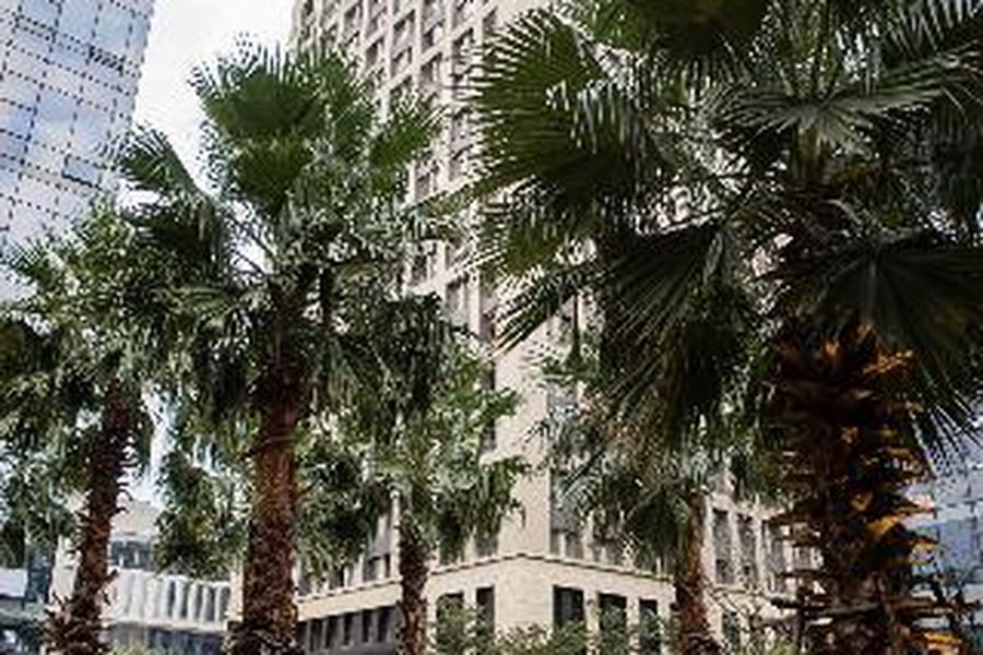 photo-2