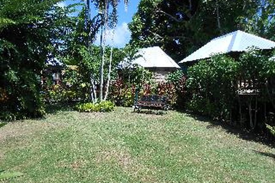 photo-3