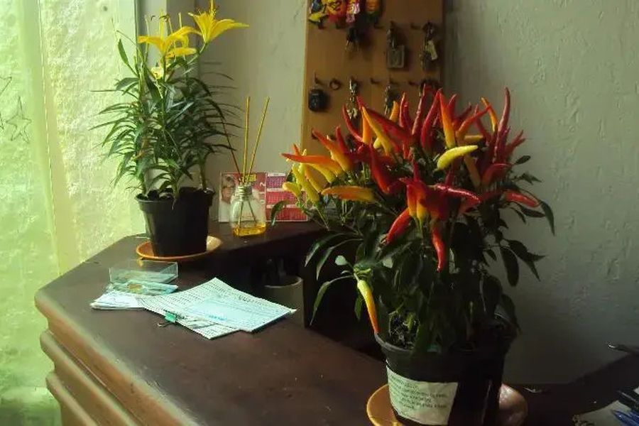 foto-3