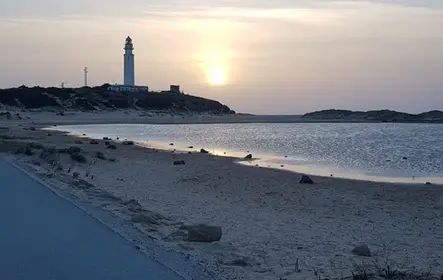 Cádiz e Jerez de la Frontera: viagem de um dia saindo de Sevilha
