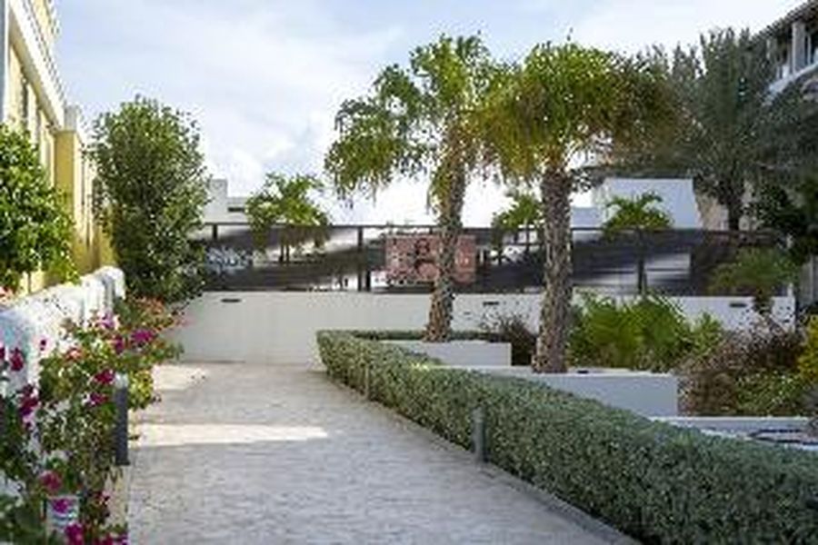 photo-1